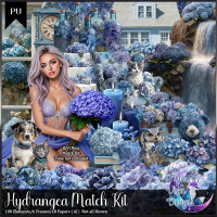 Hydrangea Match Kit