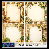 Pack papier 19