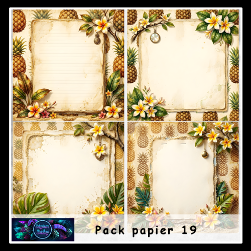 Pack papier 19 Pack papier 19