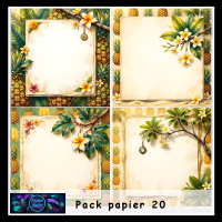 Pack papier 20