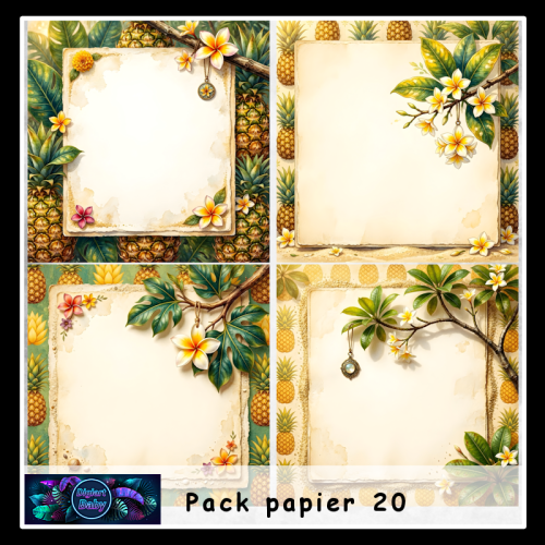 Pack papier 20 Pack papier 20