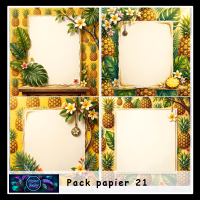 Pack papier 21