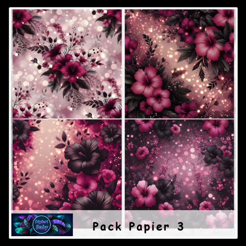 Pack papier 3