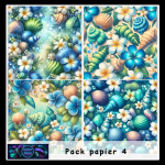 Pack papier 4