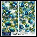Pack papier 5