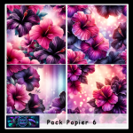 Pack papier cu 6