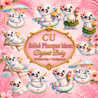 Cu Bebe phoque blanc