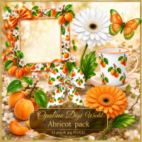 ODW abricot pack ODW abricot pack