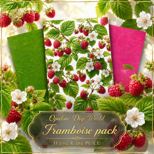 ODW framboise pack ODW framboise pack