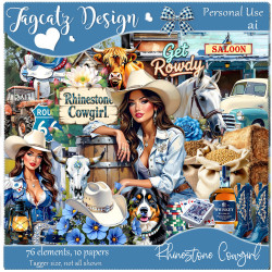 Rhinestone Cowgirl Rhinestone Cowgirl