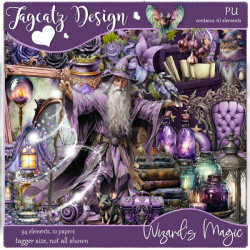Wizard's Magic Wizard's Magic